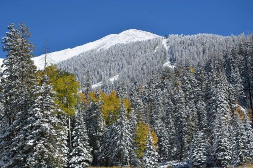 Snow-covered mountain peak surrounded by evergreen trees and patches of autumn foliage under a clear blue sky.