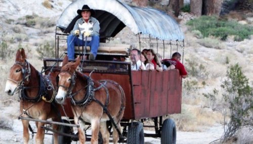 A man in a cowboy hat drives a horse-drawn wagon with passengers in a desert landscape.
