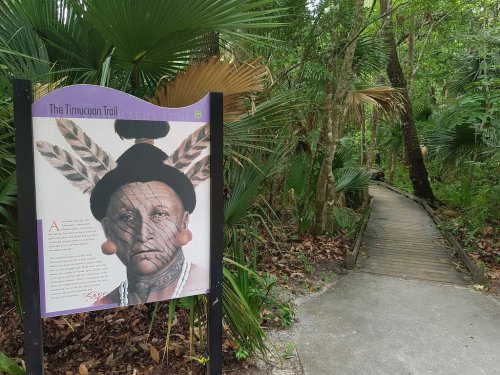 A sign depicting a Timucuan man with facial tattoos stands beside a wooden trail in a lush, green forest.