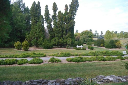 Lush garden with neatly trimmed shrubs, tall trees, and a winding path leading to a white bench in the distance.