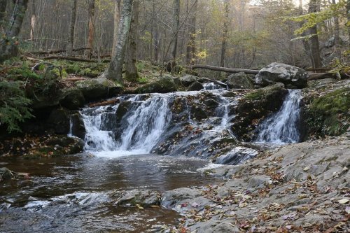 A serene waterfall cascades over rocks, surrounded by autumn foliage and trees in a peaceful forest setting.