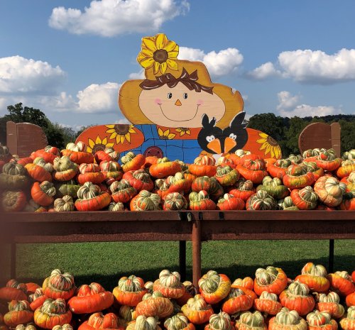 A colorful scarecrow stands behind a display of orange and green pumpkins under a blue sky with fluffy clouds.