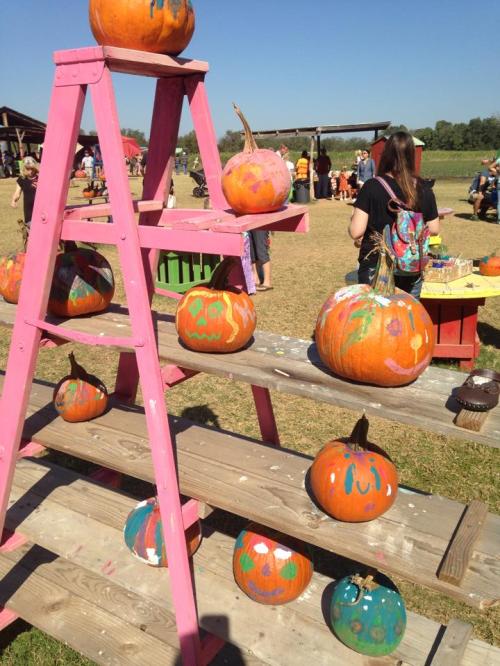 A pink ladder displays painted pumpkins at an outdoor event, with people enjoying the sunny day in the background.