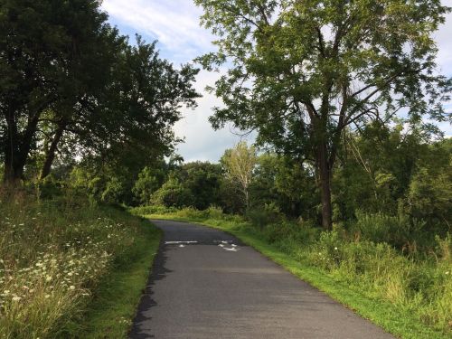 A winding path through lush greenery, flanked by trees and wildflowers under a partly cloudy sky.