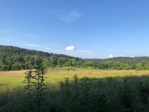 A serene landscape featuring a grassy field, rolling hills, and a clear blue sky with a few clouds.