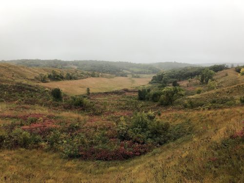 A misty landscape featuring rolling hills, grassy fields, and patches of colorful vegetation under a gray sky.