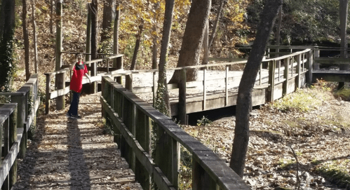 A person stands on a wooden bridge in a wooded area with autumn leaves scattered on the ground.