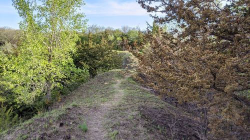 A narrow dirt path winds through lush green trees and shrubs, with a clear blue sky above.