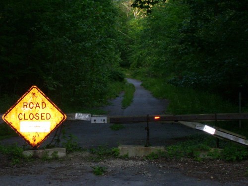 A "Road Closed" sign blocks a narrow, overgrown path surrounded by dense greenery.