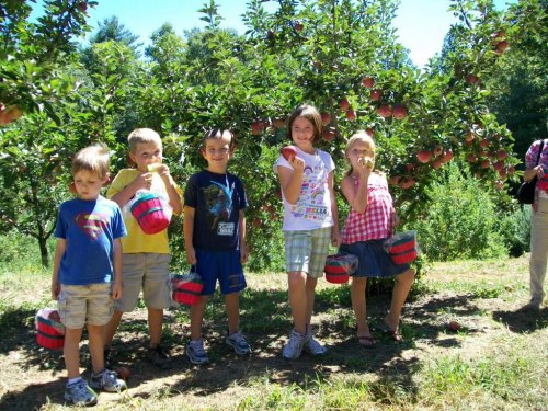 Five children stand in an apple orchard, holding apples and wearing colorful clothing, with apple trees in the background.
