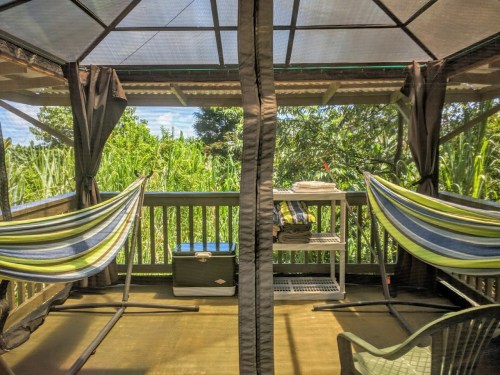 A cozy outdoor space with two hammocks, a cooler, and shelves, surrounded by lush greenery.