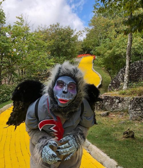 A person in a gorilla costume with blue face paint poses on a winding yellow path surrounded by trees.