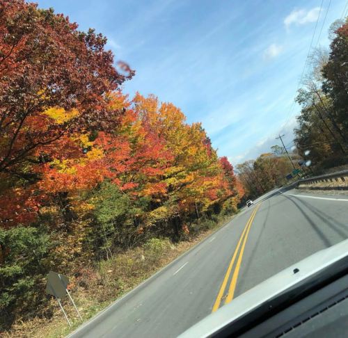 A scenic view of a winding road lined with vibrant autumn trees in shades of red, orange, and yellow under a blue sky.