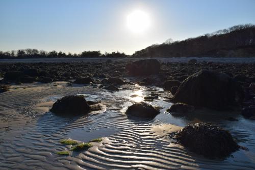 Sunset over a rocky beach, with rippled sand and seaweed-covered stones reflecting the warm light.