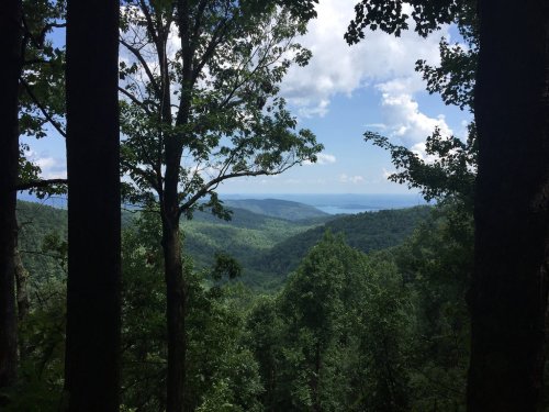 A scenic view of lush green mountains under a blue sky with scattered clouds, framed by tall trees.