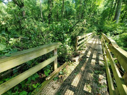A wooden bridge in a lush green forest, partially obstructed by fallen branches and foliage. Sunlight casts shadows.
