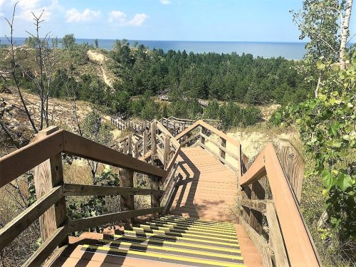 A wooden staircase leads down through greenery to a view of the ocean in the distance under a clear blue sky.
