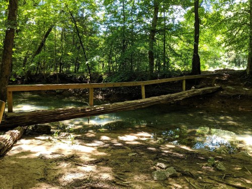 A wooden bridge spans a clear stream in a lush, green forest, surrounded by trees and dappled sunlight.