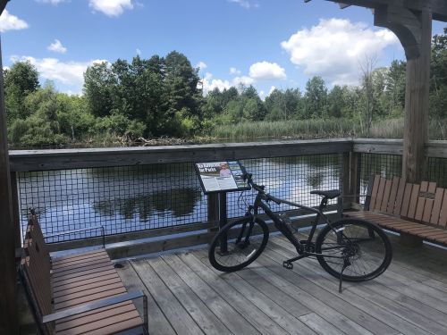 A bike rests on a wooden deck overlooking a calm river surrounded by trees and blue skies with fluffy clouds.