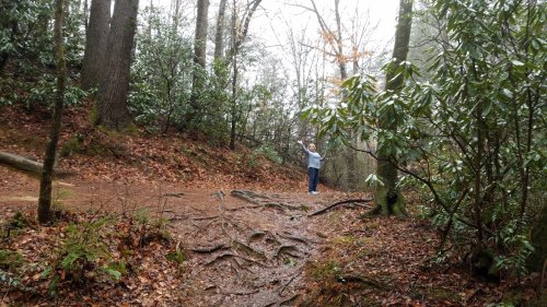 A person stands on a forest trail surrounded by trees and greenery, with wet ground and fallen leaves.