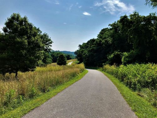 A winding path through lush greenery under a clear blue sky, surrounded by trees and tall grass.
