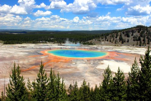 Vibrant Grand Prismatic Spring in Yellowstone, surrounded by trees and mountains under a blue sky with fluffy clouds.