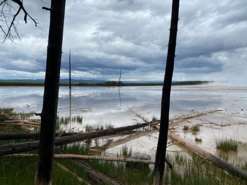 A serene landscape with a reflective water surface, framed by trees and cloudy skies in the background.