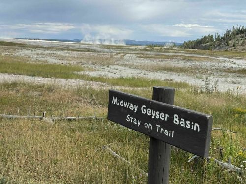 Sign for Midway Geyser Basin with a view of geysers in the distance, surrounded by grassy terrain and trees.