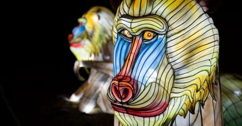 Colorful illuminated lanterns of baboons with intricate designs against a dark background.