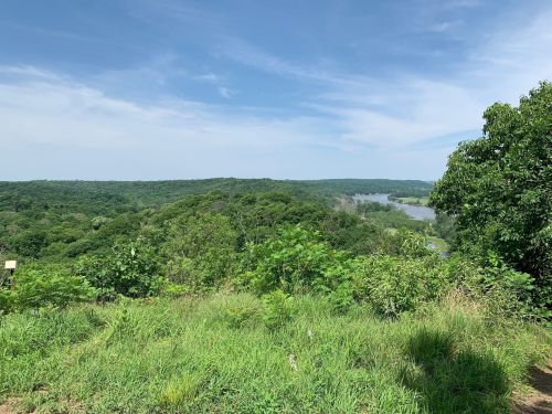 Lush green landscape with rolling hills and a river in the distance under a clear blue sky.