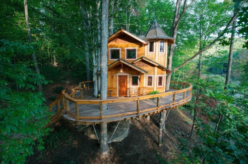 A charming wooden treehouse with a wraparound deck, nestled among lush green trees in a serene forest setting.