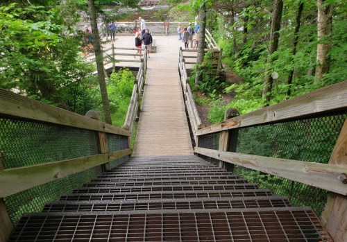 A wooden staircase leads down through lush greenery, with people walking on a path in the background.