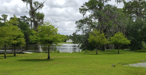 Lush green landscape with trees and a calm river, featuring a distant building under a cloudy sky.