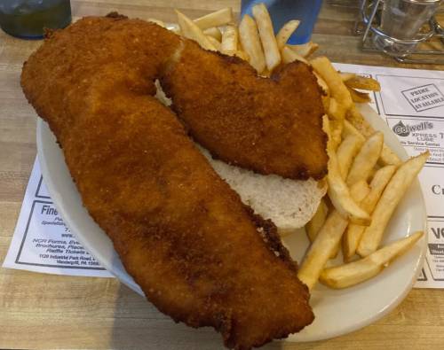 A large breaded fish fillet on a bun, served with a side of golden French fries.