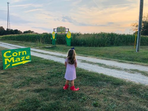 A child in a striped dress and red boots stands by a corn maze sign, looking towards a cornfield at sunset.