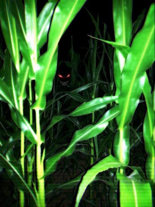 A dark figure with glowing red eyes lurks among tall green corn stalks at night.