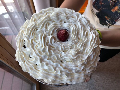 A person holds a round cake topped with swirls of whipped cream and a single strawberry in the center.