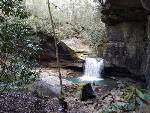 A serene waterfall cascades over rocks, surrounded by lush greenery and towering cliffs in a tranquil forest setting.