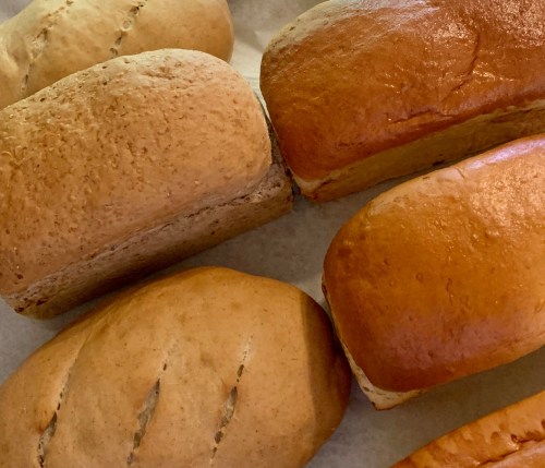 Freshly baked loaves of brown and golden bread arranged on parchment paper.