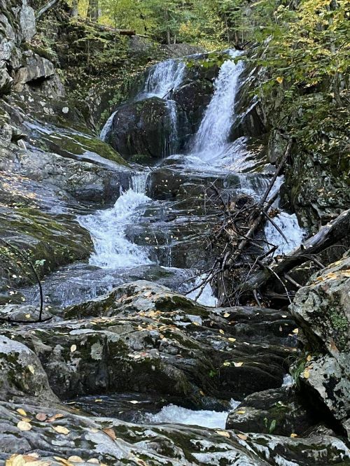 A serene waterfall cascades over rocky terrain, surrounded by lush greenery and fallen leaves.