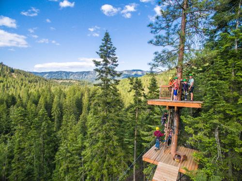 A group of people on a treehouse platform surrounded by tall pine trees and mountains in the background.