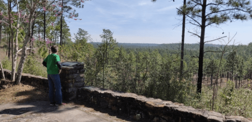 A person in a green shirt stands at a stone overlook, gazing at a vast forested landscape under a clear sky.