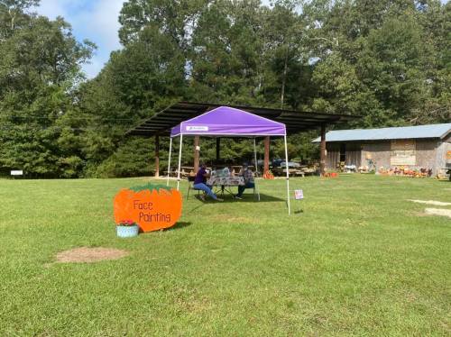 A purple tent with a face painting sign in a grassy area, surrounded by trees and a rustic building in the background.