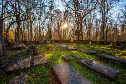 A serene graveyard at sunset, surrounded by trees, with weathered tombstones and lush green grass.