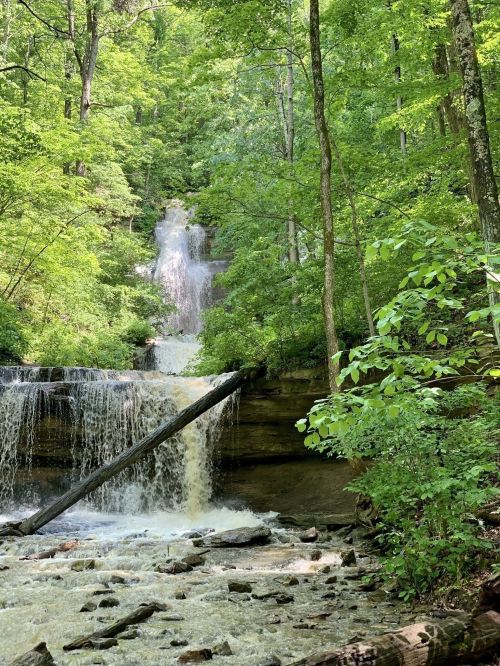 A serene waterfall cascades down rocky terrain, surrounded by lush green trees and foliage.