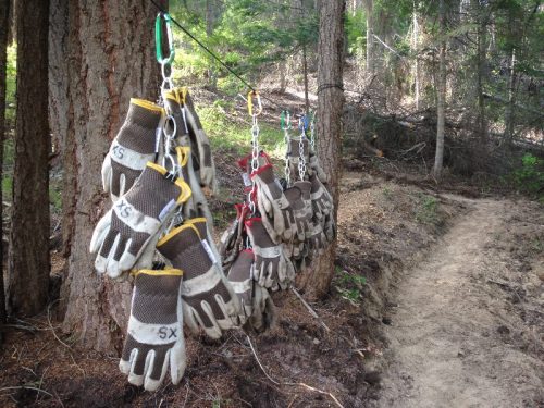 A row of work gloves hanging on a line in a forest, with a dirt path visible in the background.