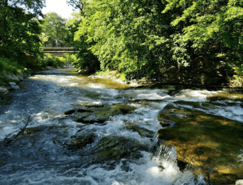 A serene river flows through a lush green landscape, with rocks and a bridge visible in the background.