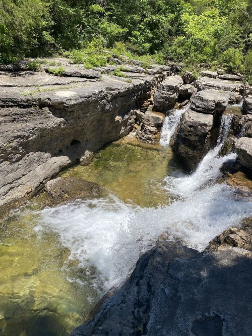 A serene natural scene featuring a clear stream flowing over rocky terrain surrounded by lush greenery.