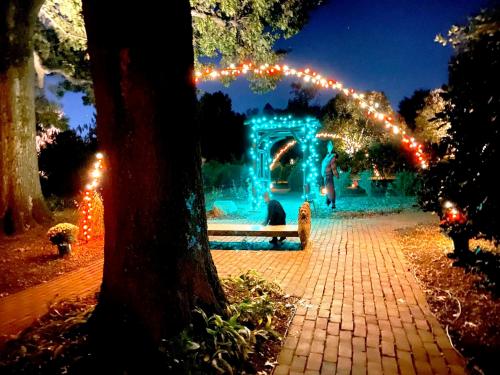 A serene garden path at night, illuminated by colorful lights, leading to a glowing archway and a bench.