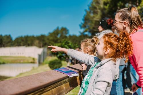 A girl with curly red hair points excitedly at something in the distance while an adult smiles beside her.